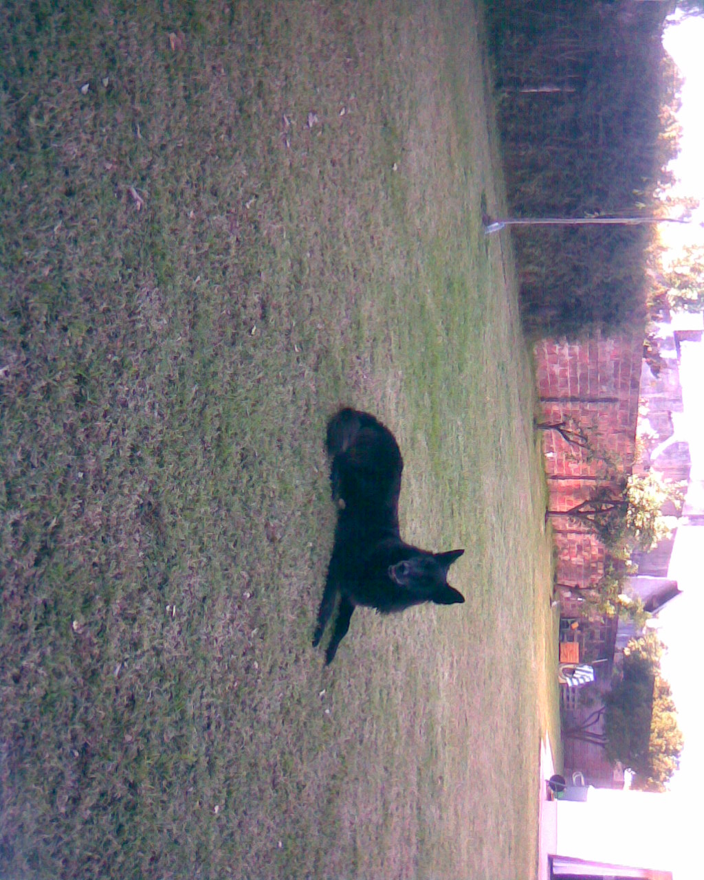 fotos/0000-00-00 - Infancia/Imagen033.jpg